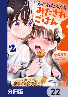 みだれたふたりのみたされごはん【分冊版】 22巻