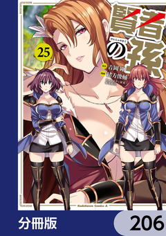 賢者の孫【分冊版】 206巻