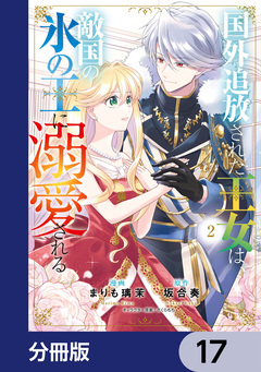 国外追放された王女は、敵国の氷の王に溺愛される【分冊版】 17巻