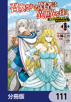 召喚された賢者は異世界を往く ~最強なのは不要在庫のアイテムでした~【分冊版】 111巻