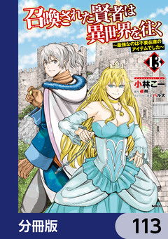 召喚された賢者は異世界を往く ~最強なのは不要在庫のアイテムでした~【分冊版】 113巻