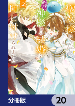聖女様に醜い神様との結婚を押し付けられました【分冊版】 20巻