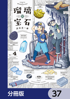 瑠璃の宝石【分冊版】 37巻
