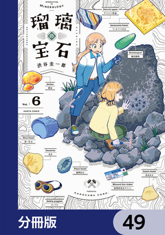 瑠璃の宝石【分冊版】 49巻
