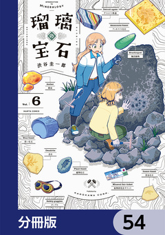 瑠璃の宝石【分冊版】 54巻