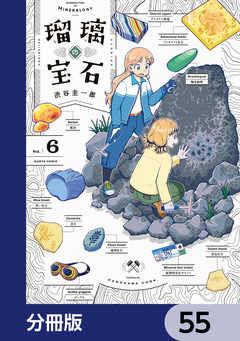 瑠璃の宝石【分冊版】 55巻