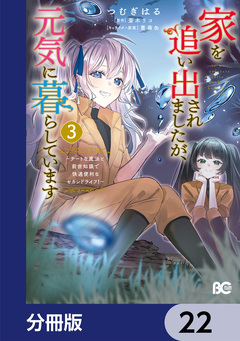 家を追い出されましたが、元気に暮らしています ～チートな魔法と前世知識で快適便利なセカンドライフ!～【分冊版】 22巻