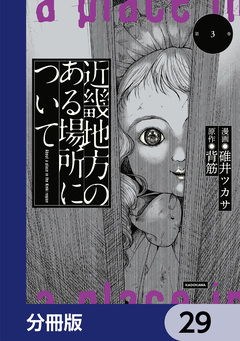 近畿地方のある場所について【分冊版】 29巻