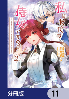 私はただの侍女ですので  ひっそり暮らしたいのに、騎士王様が逃がしてくれません【分冊版】 11巻