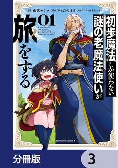 初歩魔法しか使わない謎の老魔法使いが旅をする【分冊版】 3巻