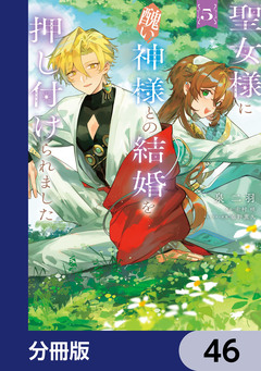 聖女様に醜い神様との結婚を押し付けられました【分冊版】 46巻