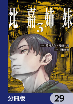 比嘉姉妹【分冊版】 29巻