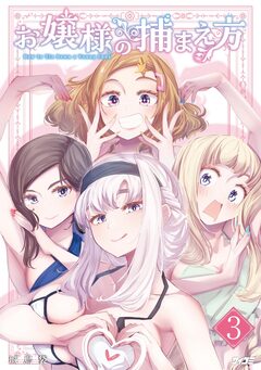 お嬢様の捕まえ方 3巻