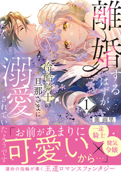 離婚するはずが、冷酷騎士の旦那さまに溺愛されていたようです【コミックス版/描き下ろし特典つき】 1巻