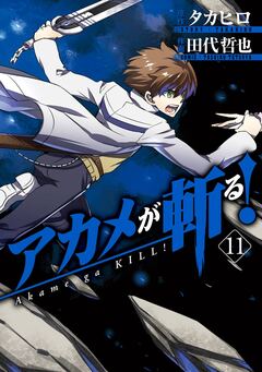 アカメが斬る! 11巻