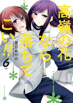 高嶺の花なら落ちてこい!! 6巻