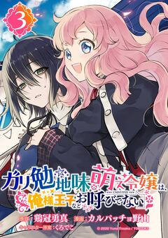 ガリ勉地味萌え令嬢は、俺様王子などお呼びでない【分冊版】 3巻