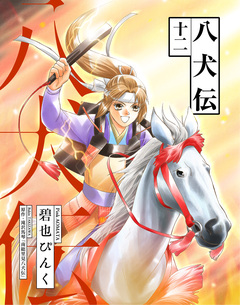 八犬伝 12巻