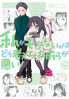 私がモテないのはどう考えてもお前らが悪い! 25巻
