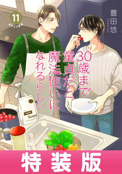 30歳まで童貞だと魔法使いになれるらしい 11巻特装版 純愛(ピュアラブ)Wedding After Party-Just married-小冊子付き【デジタル版限定特典付き】 1巻
