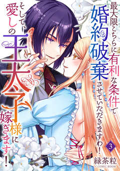 最大限こちらに有利な条件で婚約破棄させていただきますわ!そして、愛しの王太子様に嫁ぎます! 3巻