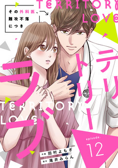 comic Berry’sテリトリーラブ~その外科医、難攻不落につき~ 12巻