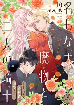名もなき魔物と二人の騎士～そして婚約者は困惑する～【マイクロ】 11巻