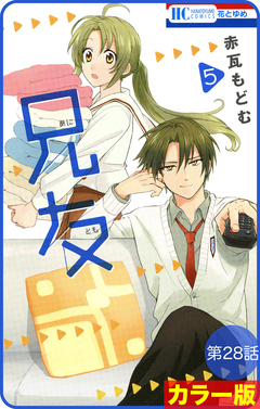 【花とゆめプチ】[カラー版]兄友 28巻