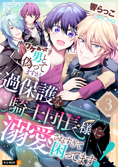 ワケあって男と偽ってますが、過保護な騎士団長様に溺愛されすぎて困ってます! 3巻