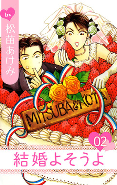 結婚よそうよ 2巻