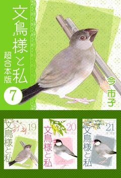 文鳥様と私 超合本版 7巻