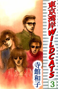東京湾岸 WILD CATS 3巻