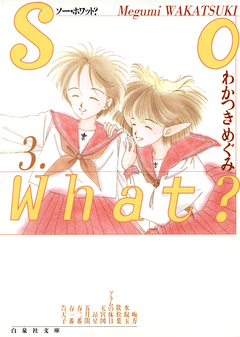 So What? 3巻