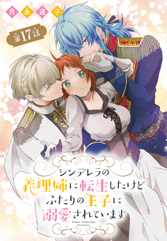 シンデレラの義理姉に転生したけどふたりの王子に溺愛されています[1話売り] 17巻