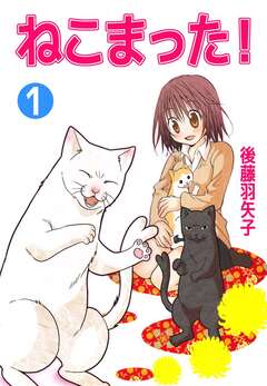 ねこまった! 1巻