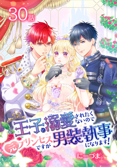 王子に溺愛されたくないので元プリンセスですが男装執事になります![ばら売り] 30巻