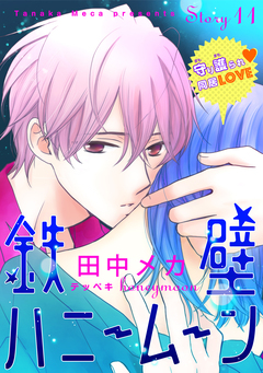 花ゆめAi 鉄壁ハニームーン 11巻