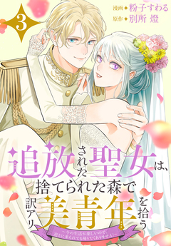 追放された聖女は、捨てられた森で訳アリ美青年を拾う~今の生活が楽しいので、迎えに来られても帰りたくありません!~ 3巻