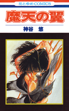 魔天の翼 1巻