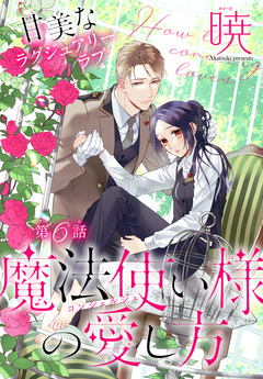 魔法使い様の愛し方[1話売り] 6巻