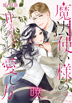 魔法使い様の愛し方[1話売り] 14巻