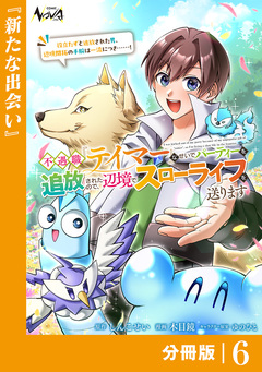 不遇職『テイマー』なせいでパーティーを追放されたので、辺境でスローライフを送ります【分冊版】 6巻