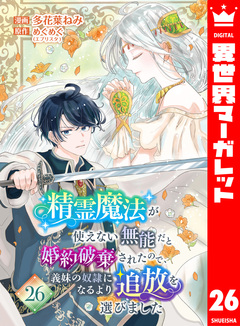 精霊魔法が使えない無能だと婚約破棄されたので、義妹の奴隷になるより追放を選びました 26巻