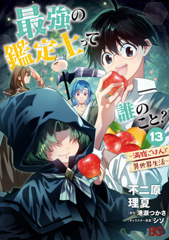 最強の鑑定士って誰のこと? 13巻