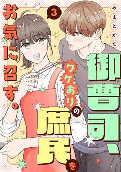 御曹司、ワケありの庶民をお気に召す。【単行本版/描き下ろし特典付き】 3巻