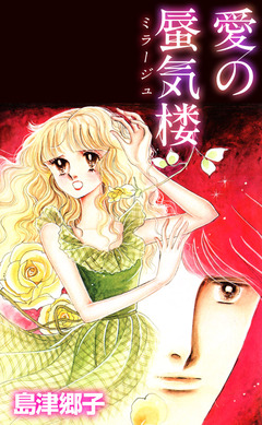 愛の蜃気楼 1巻