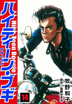 ハイティーン・ブギ 14巻