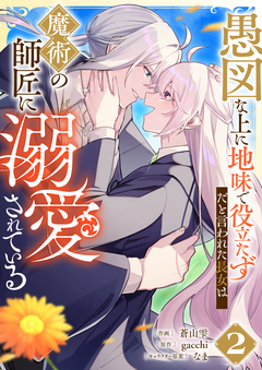 愚図な上に地味で役立たずだと言われた長女は魔術の師匠に溺愛されている【合本版】 2巻