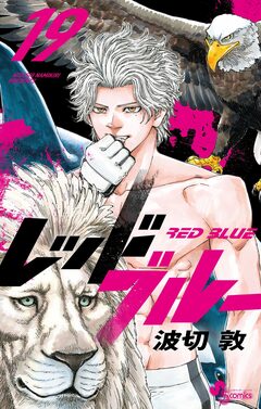 レッドブルー 19巻