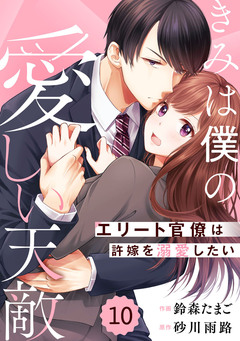 comic Berry’sきみは僕の愛しい天敵～エリート官僚は許嫁を溺愛したい～ 10巻